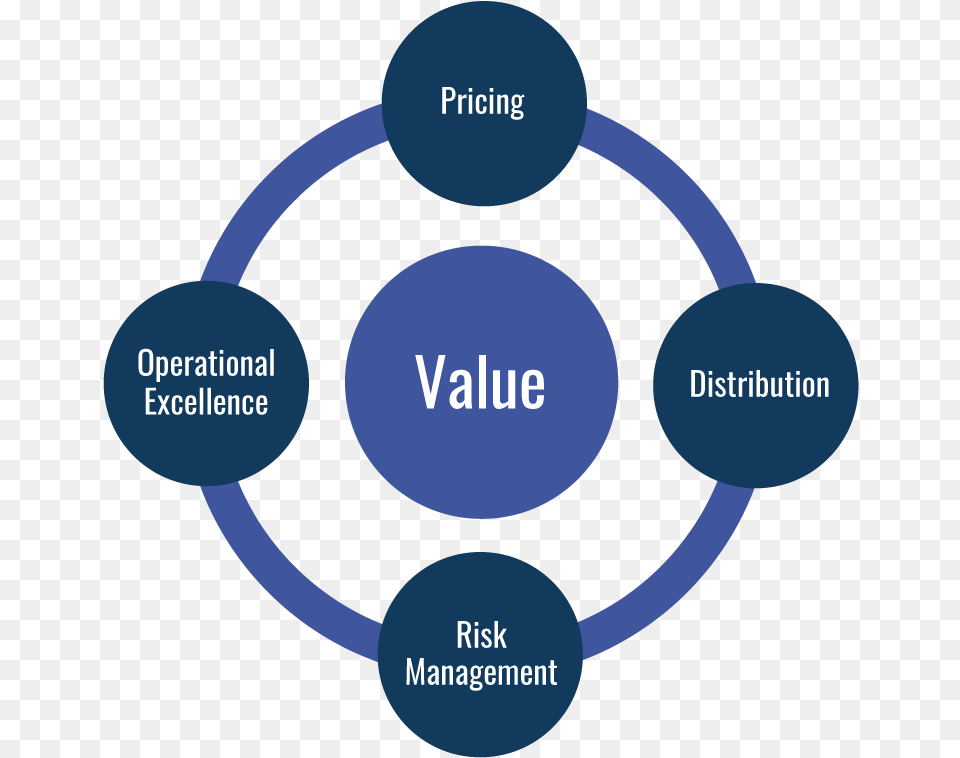 Pricing Excellence Risk Management 5s In Hospital, Ammunition, Grenade, Weapon, Diagram Free Png Download