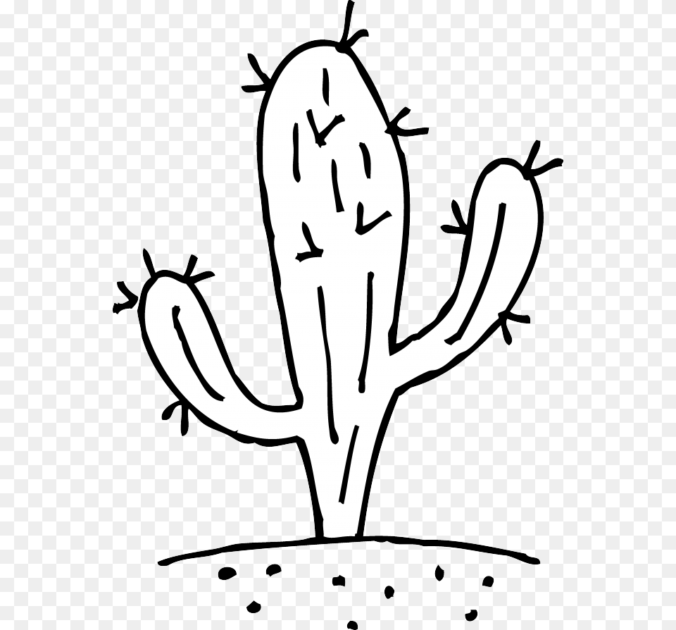 Prickly Cactus Coloring, Plant, Baby, Person Free Png