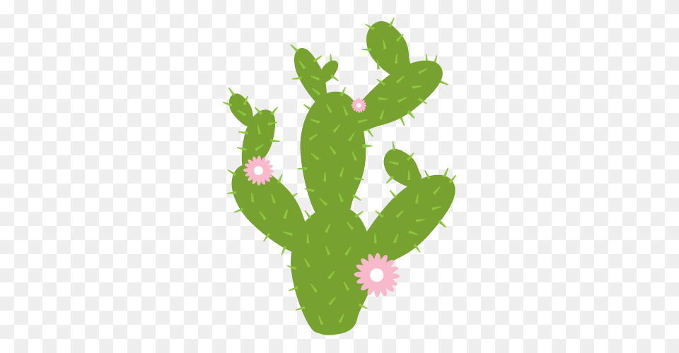 Prickly Pear Cactus Wall Decal Weedecor, Plant Free Png Download