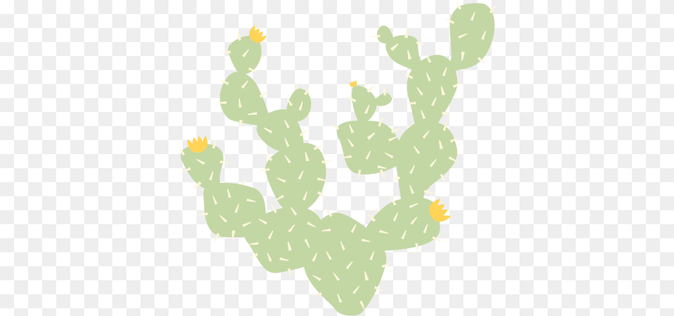 Prickly Pear Wall Decal, Cactus, Plant, Person, Baby Free Transparent Png