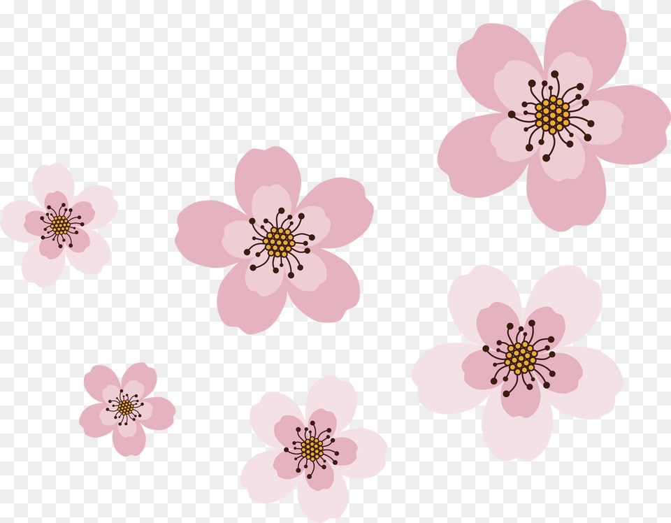 Prickly Rose, Flower, Plant, Anther, Anemone Png Image