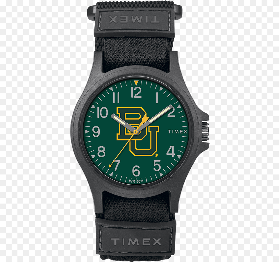 Pride Baylor Bears Large, Arm, Body Part, Person, Wristwatch Free Png Download