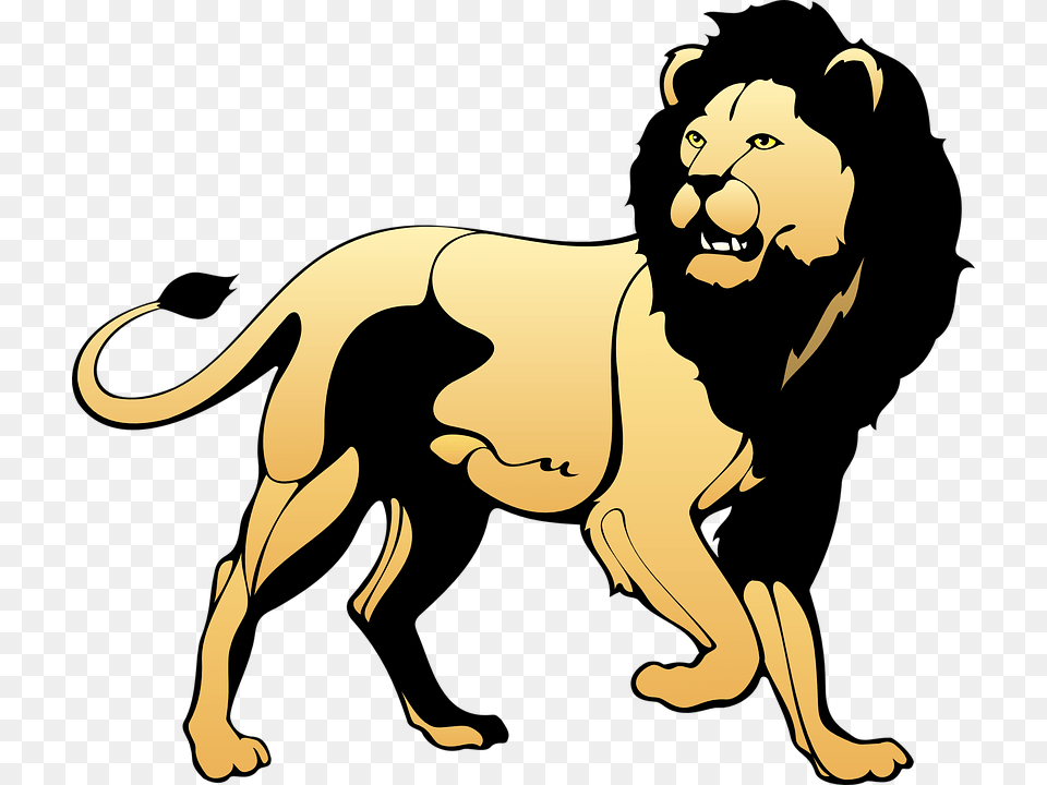 Pride Lion Clipart Explore Pictures, Wildlife, Animal, Mammal, Person Free Png Download