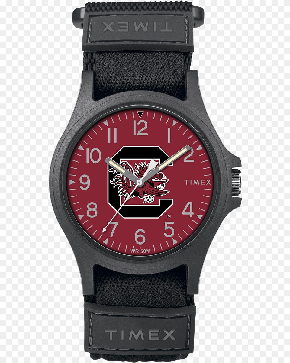 Pride South Carolina Gamecocks Large Senators Watches, Arm, Body Part, Person, Wristwatch Free Png