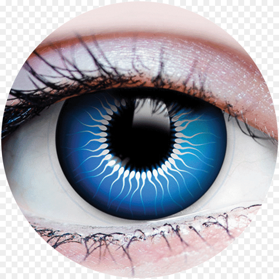 Primal Chucky Contacts Halloween Contact Lens, Contact Lens, Plate Free Transparent Png