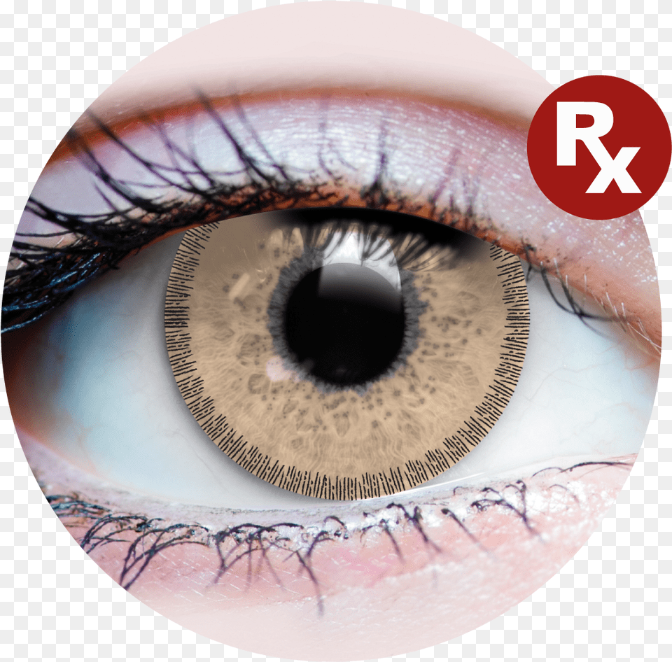 Primal Rx Charm Chestnutclass Loki Contacts, Contact Lens, Adult, Female, Person Png