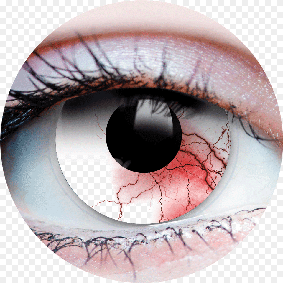 Primal Undead Transforming Zombie Eye White Amp Red Primal Berserker Ii, Contact Lens, Sphere, Disk Free Png Download
