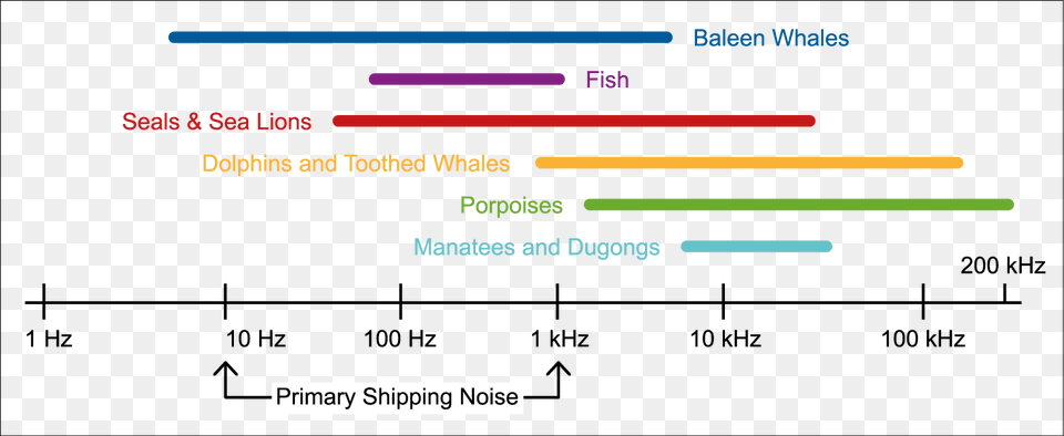 Primary Shipping Noise, Chart, Plot, Text Png