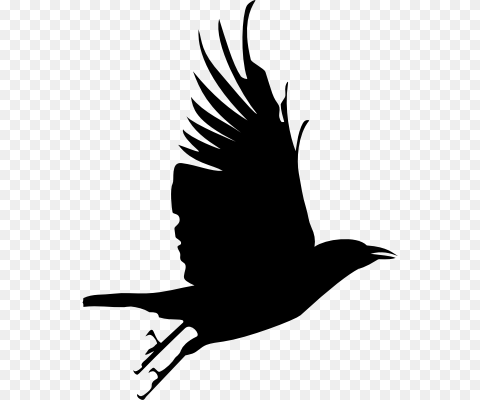 Primitive Crow Clipart, Silhouette, Animal, Bird, Blackbird Png