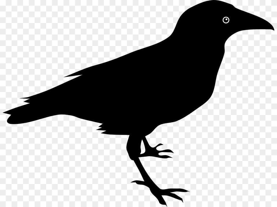 Primitive Crow Clipart Wikiclipart, Gray Free Transparent Png