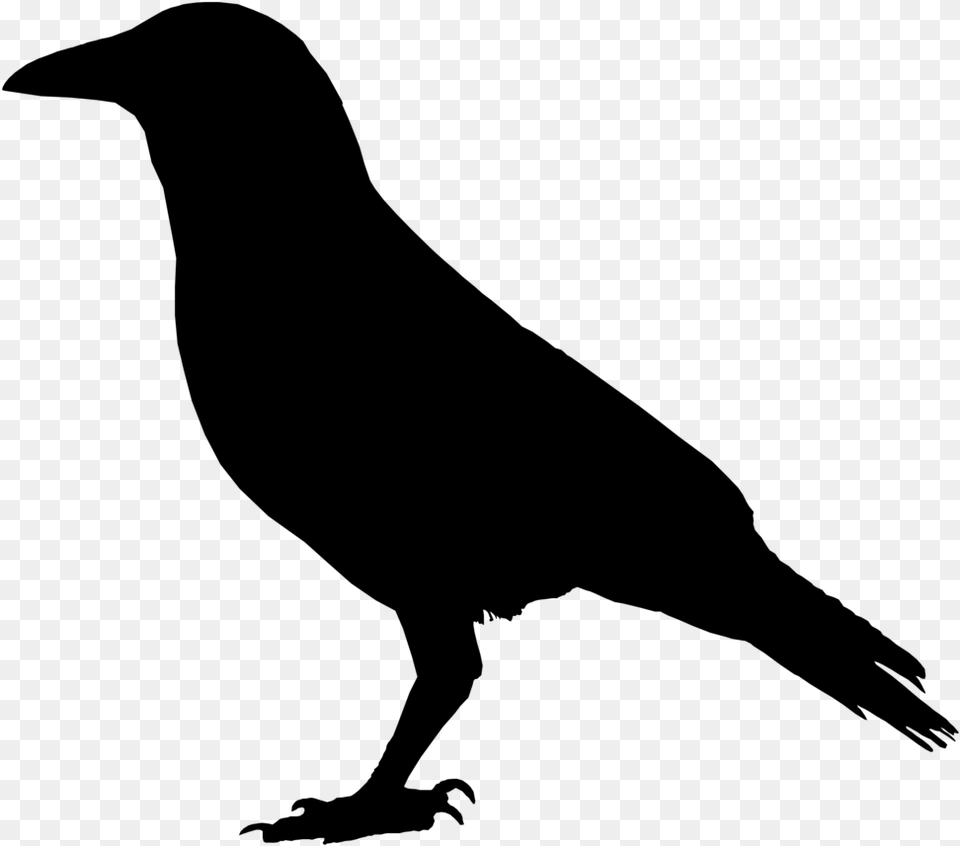 Primitive Crow Clipart Wikiclipart Black Raven Clip Art, Gray Free Transparent Png