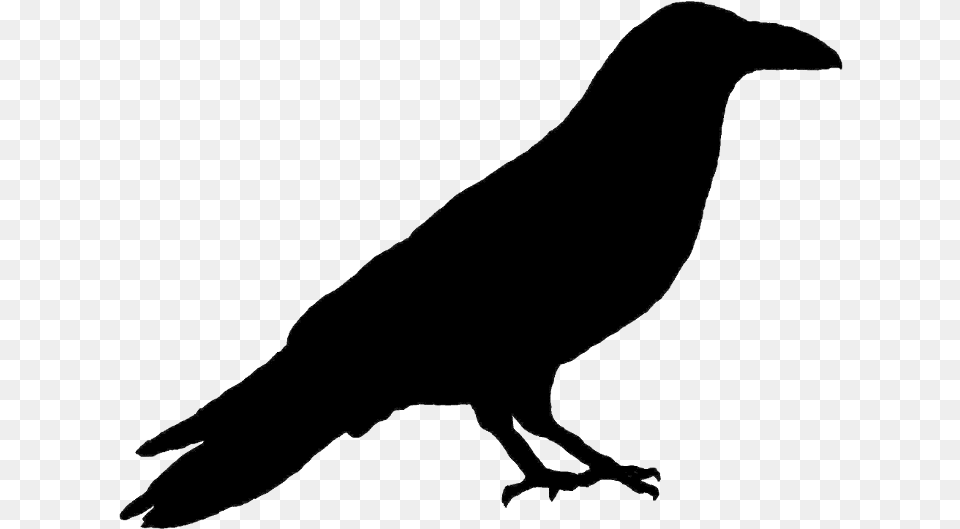 Primitive Crow Silhouette Common Raven, Animal, Bird, Bow, Weapon Png
