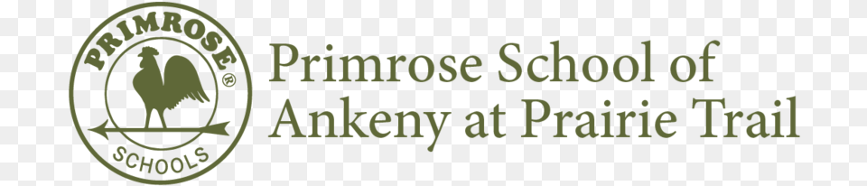 Primrose Schools, Logo, Plant, Vegetation Png Image
