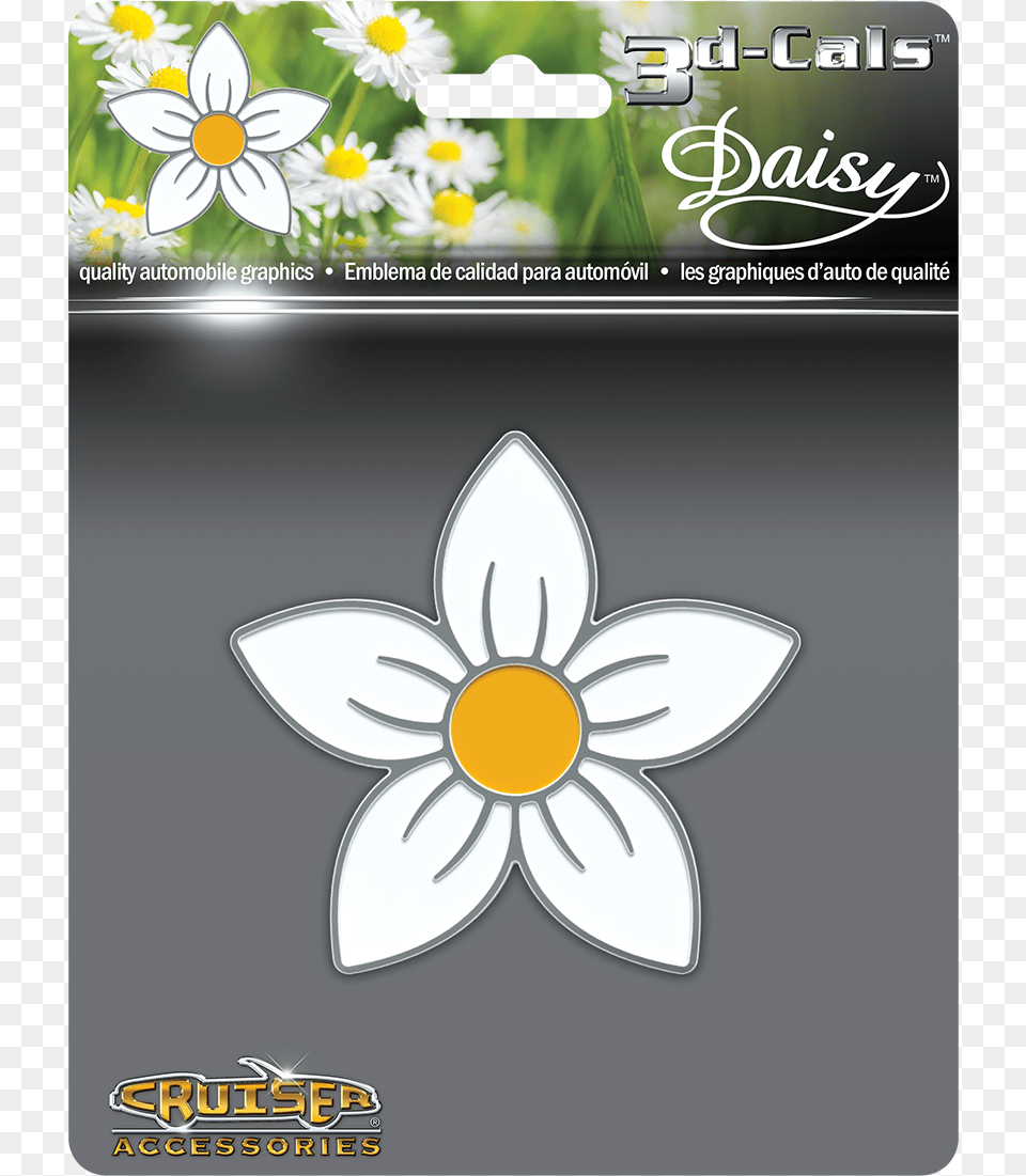 Princess Daisy, Anemone, Flower, Petal, Plant Png Image
