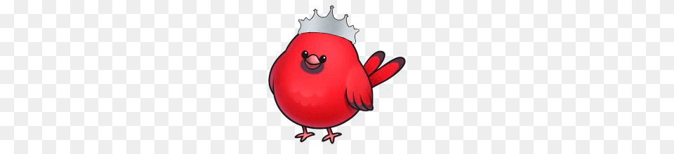 Princess Preteen Program Miss Cardinal, Animal, Beak, Bird Free Png