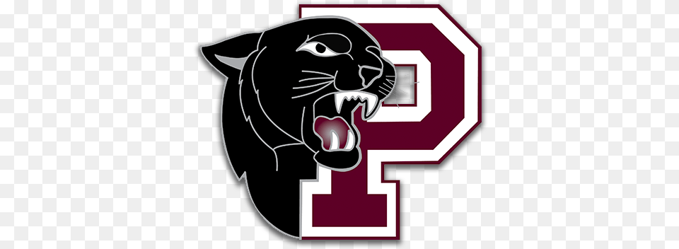 Princeton Panthers Footballdata Srcset Https Princeton High School Logo, Animal, Mammal, Panther, Wildlife Png