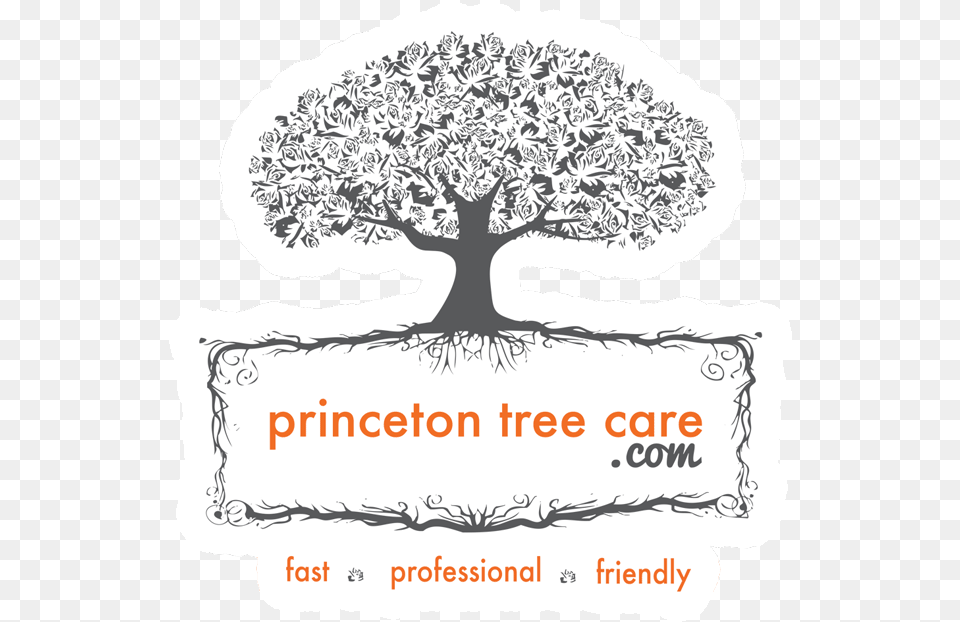 Princeton Tree Care Premier Tree Service U0026 Removal Language, Plant, Art, Drawing, Potted Plant Png Image
