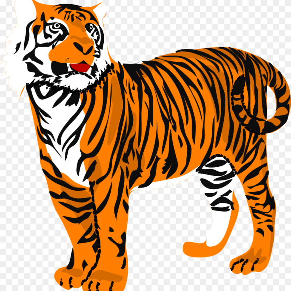 Print Tiger Clipart, Animal, Mammal, Wildlife Free Transparent Png