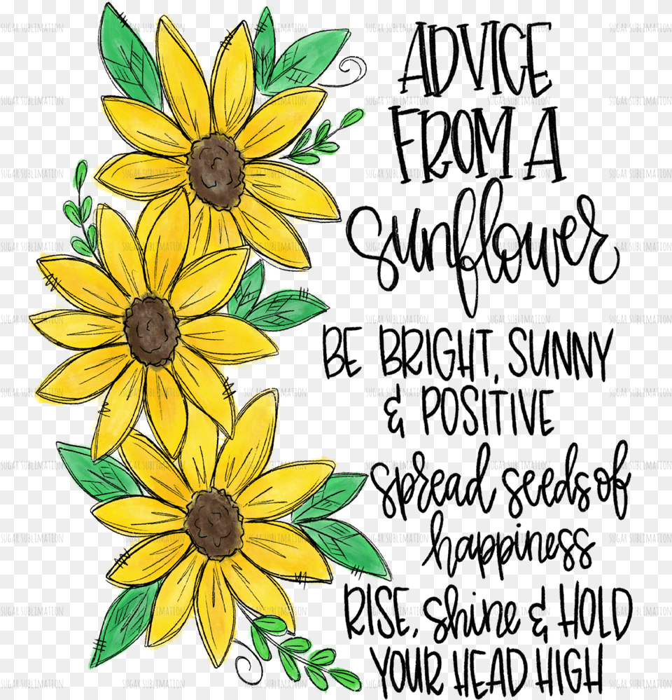 Printable Advice From A Sunflower, Flower, Plant, Daisy Free Png
