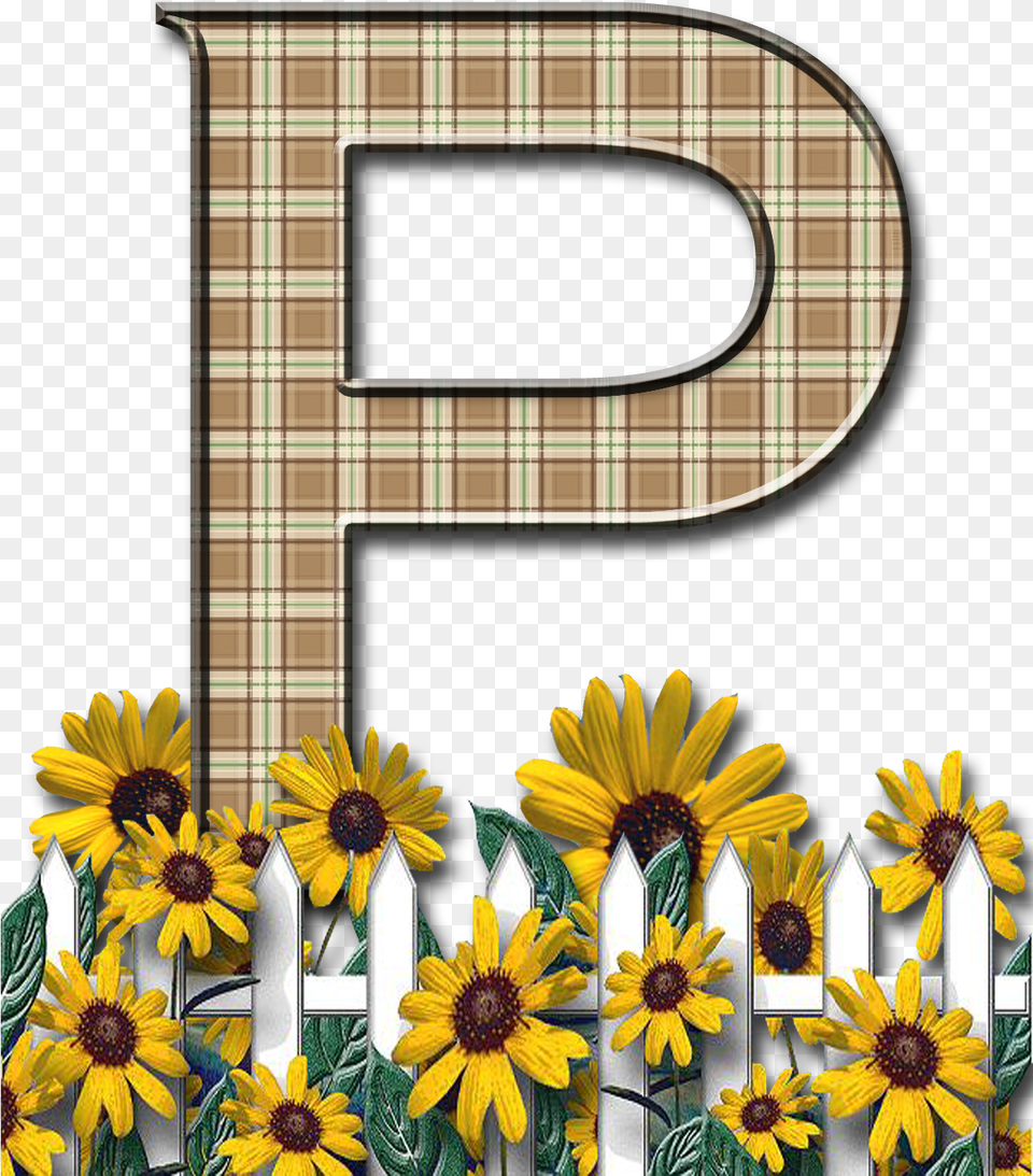 Printable Bubble Sunflower Letters, Daisy, Fence, Flower, Plant Png