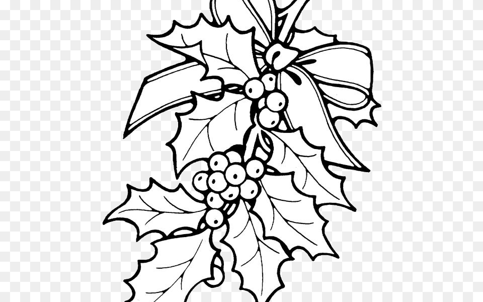 Printable Christmas Ornament Patterns Christmas Holly Drawing Of Christmas Flowers, Leaf, Plant, Art Png