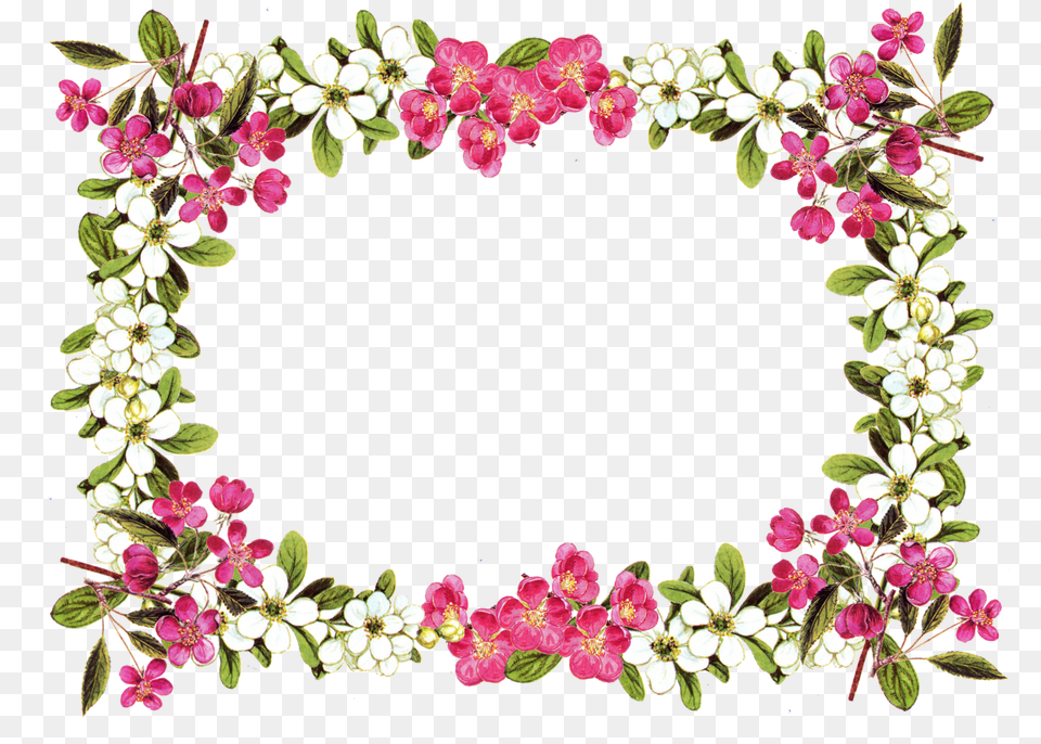 Printable Clip Art Borders Digital Flower Frame, Floral Design, Flower Arrangement, Graphics, Pattern Free Png