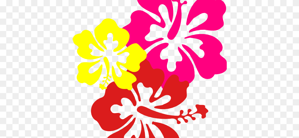 Printable Clipart, Flower, Hibiscus, Plant Free Png