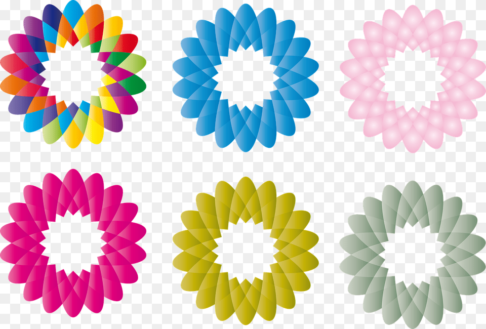 Printable Colorful Flower Petals, Daisy, Plant, Pattern, Accessories Free Transparent Png