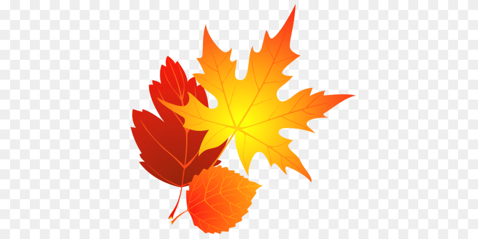 Printable Fall Leaves Clip Art, Leaf, Plant, Tree, Maple Leaf Free Png Download