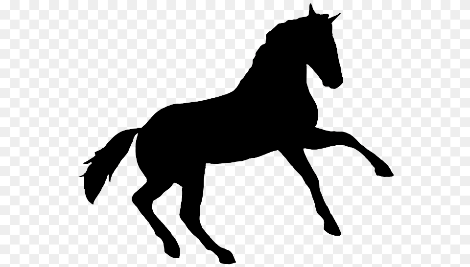 Printable Horse Silhouette Silhouette Horse, Animal, Mammal, Colt Horse, Person Png