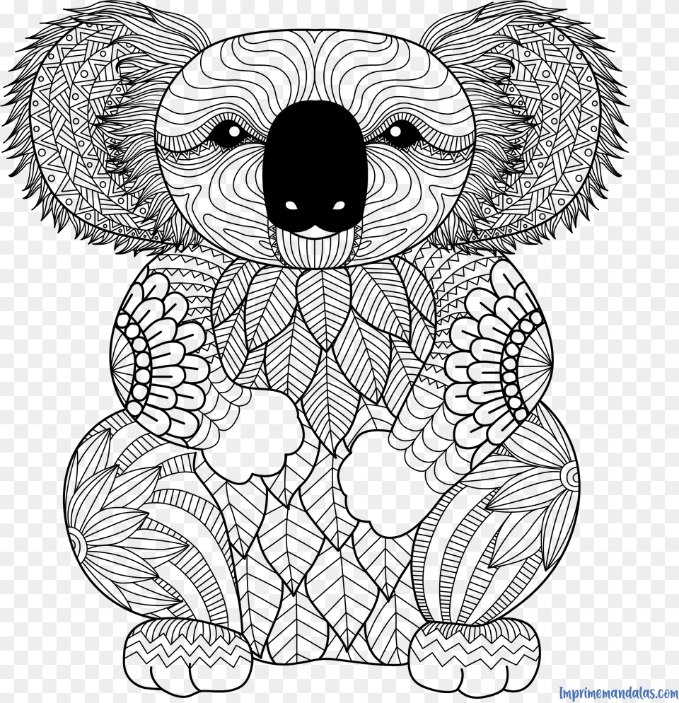 Printable Koala Coloring Pages, Art, Doodle, Drawing, Baby Png