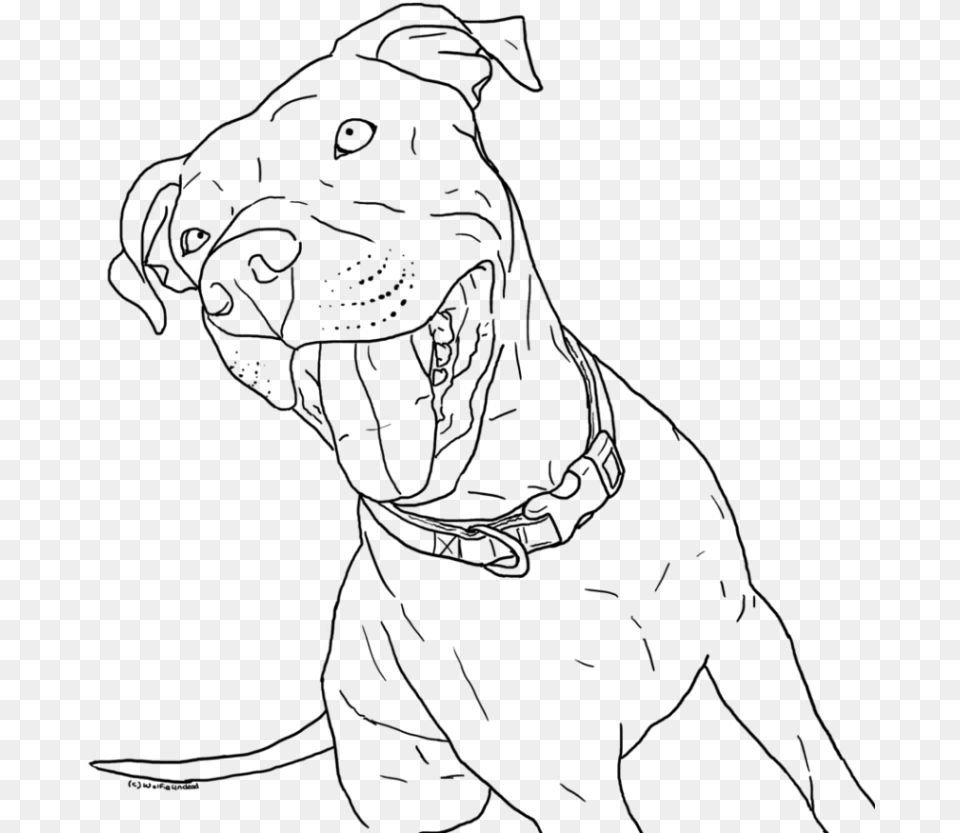Printable Pitbull Coloring Pages, Gray Free Png Download