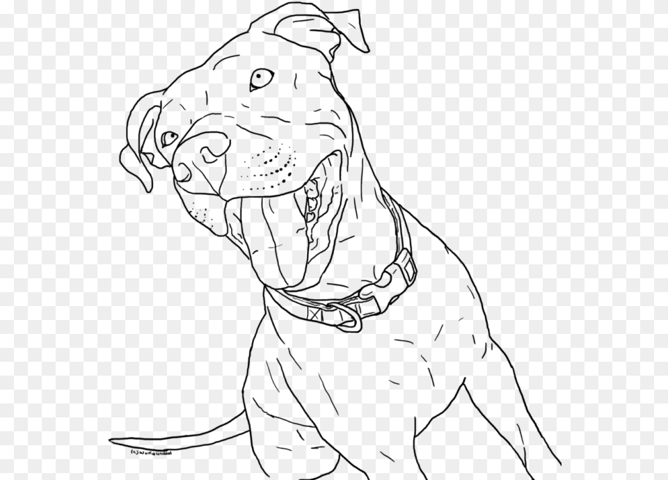 Printable Pitbull Dog Coloring Pages, Gray Free Png