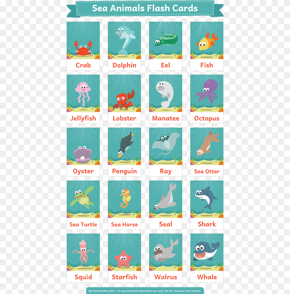 Printable Sea Animals Flash Cards Sea Animals Flashcards Printable, Comics, Publication, Book, Person Png