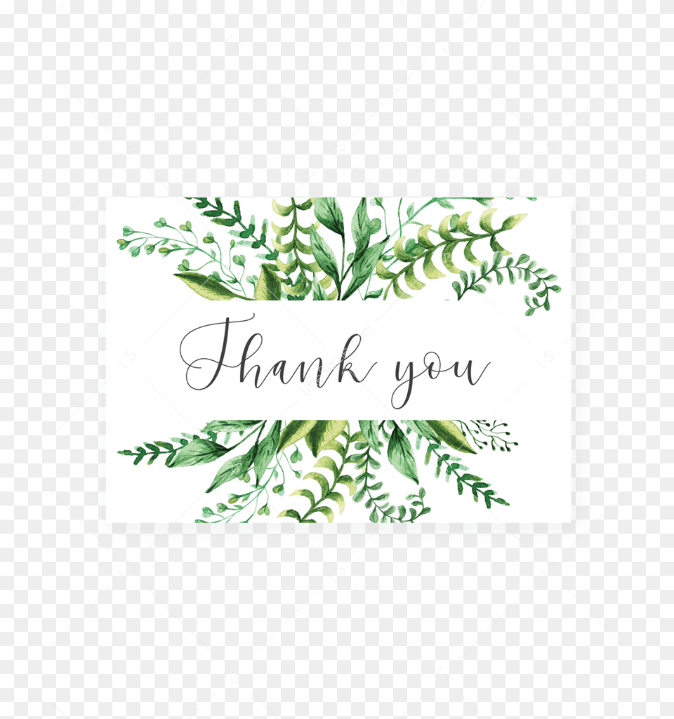 Printable Thank You Note Cards With Watercolor Greenery Printable Thank You Calligraphy, Leaf, Plant, Pattern, Herbal Free Transparent Png