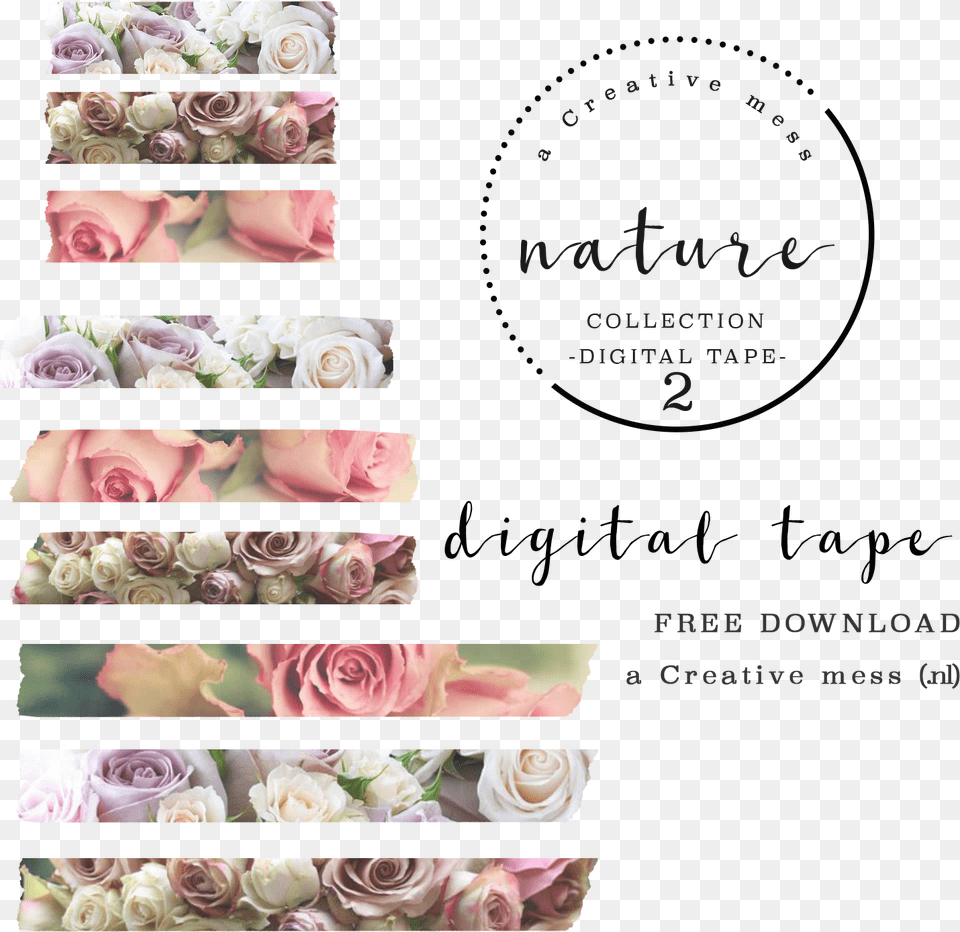 Printable Washi Tape Nature Download Download Digital Washi Tape, Art, Plant, Rose, Graphics Free Png