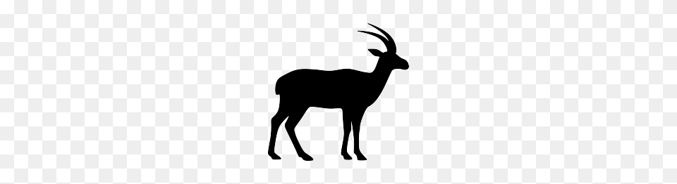 Printables, Animal, Antelope, Impala, Mammal Png