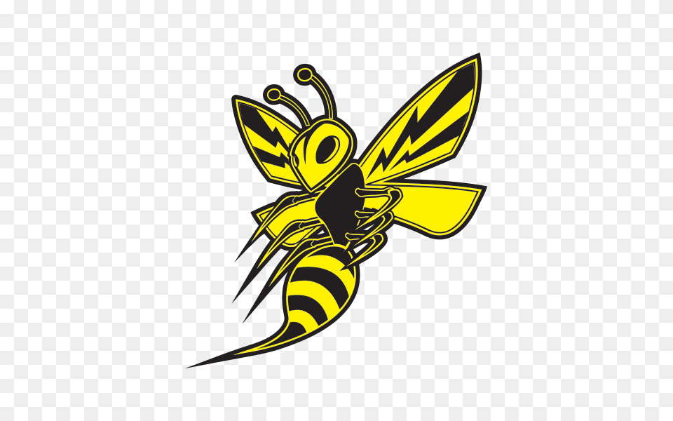 Printed Vinyl Bee Hornet Wasp Vespa Fighter Stickers Factory, Animal, Insect, Invertebrate, Honey Bee Png