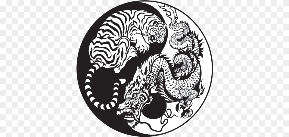 Printed Vinyl Dragon Tiger Yin Yang Stickers Factory Dragon Yin And Yang, Baby, Person Free Png
