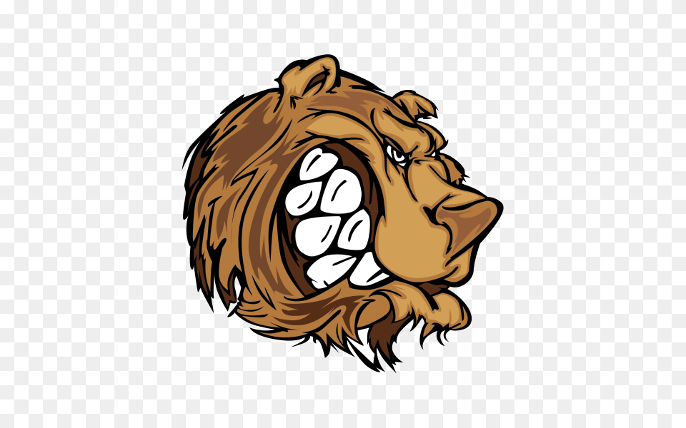 Printed Vinyl Power Bear Head Stickers Factory, Animal, Lion, Mammal, Wildlife Free Transparent Png