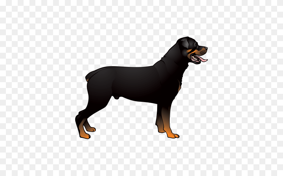 Printed Vinyl Rottweiler Dog Stickers Factory, Adult, Female, Person, Woman Free Transparent Png