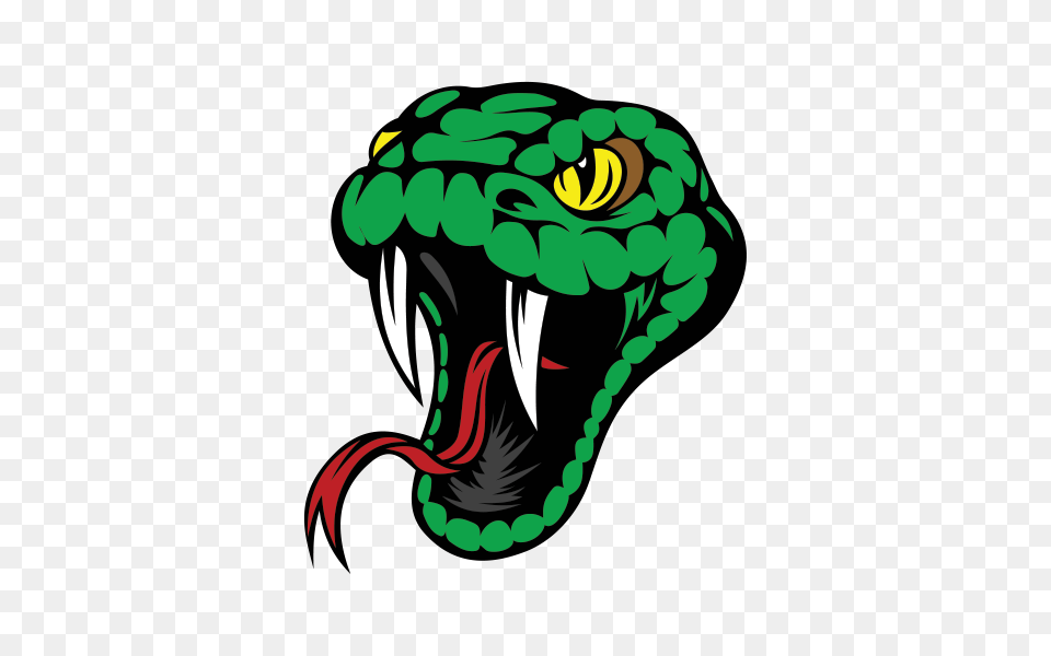 Printed Vinyl Snake Head Stickers Factory, Dynamite, Weapon Free Png