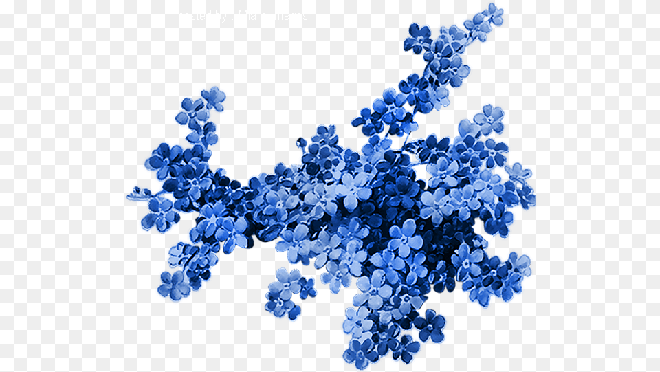 Printemps Myosotis Tube Fleur Blue Flower Transparent Forget Me Not Paper, Crystal, Accessories, Chandelier, Lamp Png