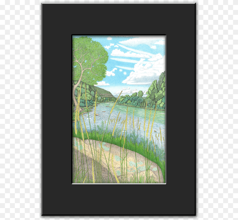 Printframe Wildgrass, Art, Vegetation, Plant, Painting Png