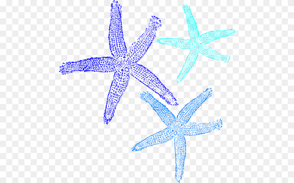 Prints In Clip Art At Clker Com Private Listing For Tami 1 Pair Custom Bridal Flip, Animal, Invertebrate, Sea Life, Starfish Png