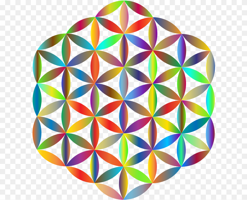 Prismatic Flower Of Life Flower Of Life Vector Art, Pattern, Sphere, Accessories, Fractal Free Png