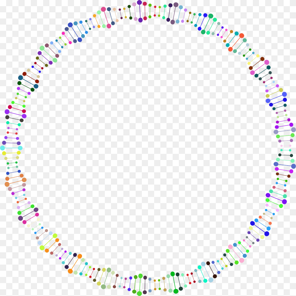 Prismatic Unwound Dna Helix Frame Clip Arts Dna Circle, Accessories, Jewelry, Necklace, Bead Free Transparent Png