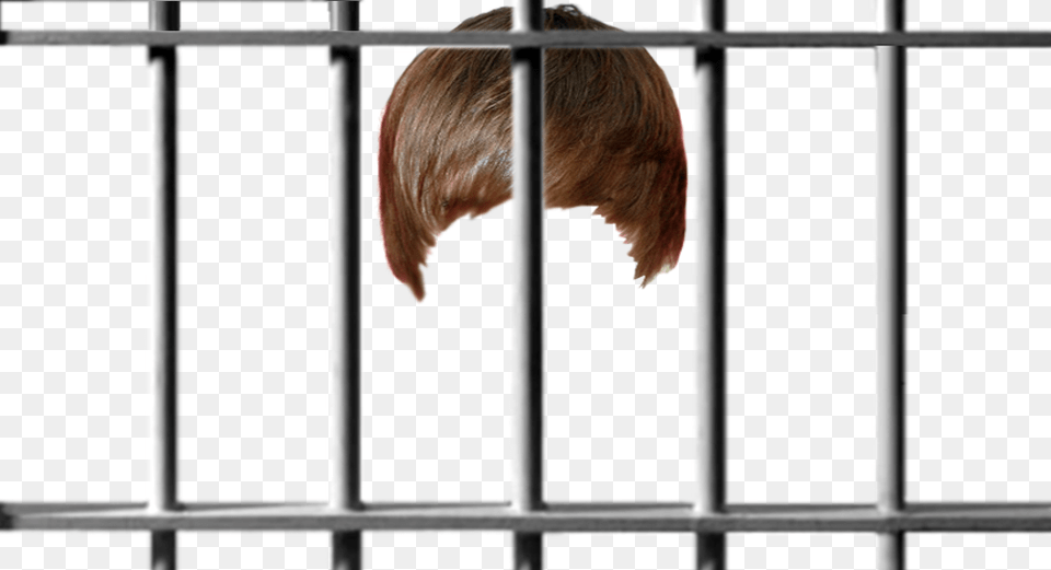 Prison Bars Clipart, Adult, Person, Woman, Female Free Png Download