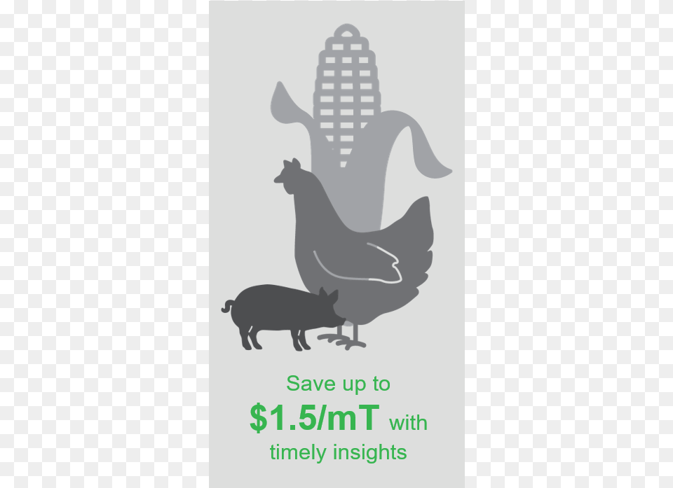 Privacy Coupon, Animal, Mammal, Pig, Stencil Free Png