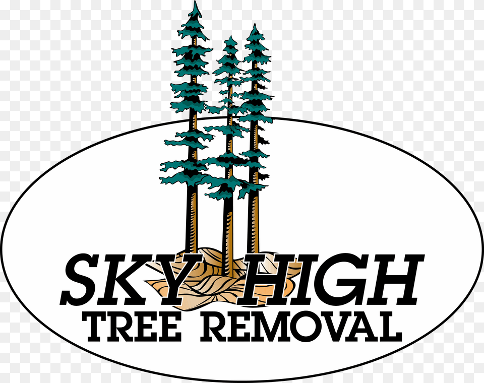 Privacy Policy Sky High Tree Removal, Plant, Land, Nature, Outdoors Free Transparent Png